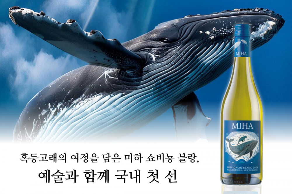 [와인리뷰 2025년 8월호] 혹등고래의 여정을 담은 미하 쇼비뇽 블랑, 예술과 함께 국내 첫 선
