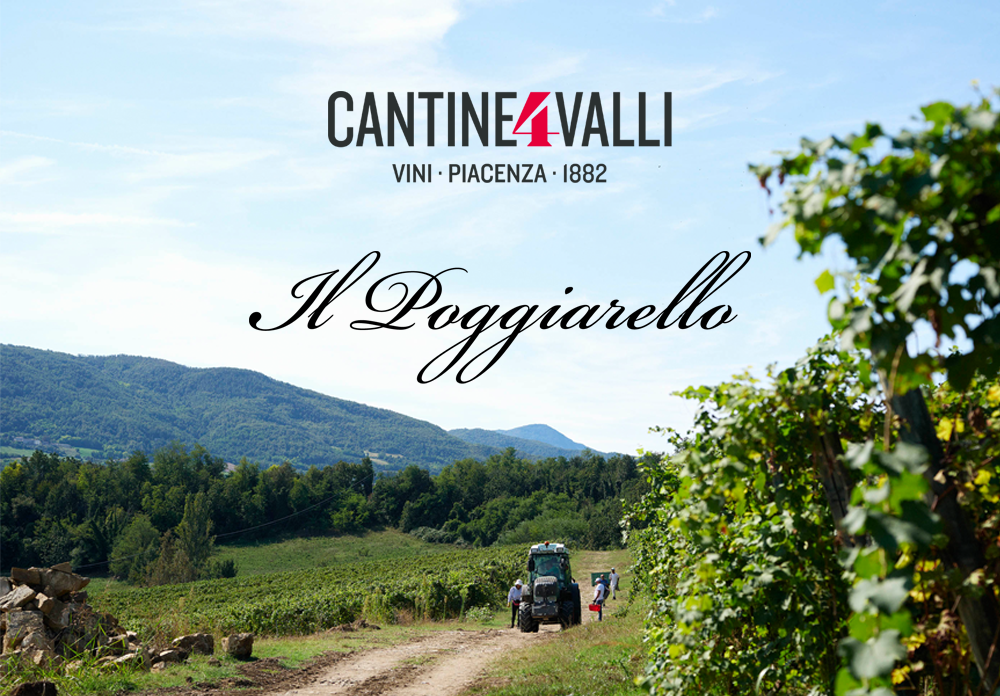 IL Poggiarello : 일 포지아렐로